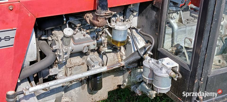 MF 255 ciągnik MasseyFerguson Ursus 3512 2812 Przeworsk