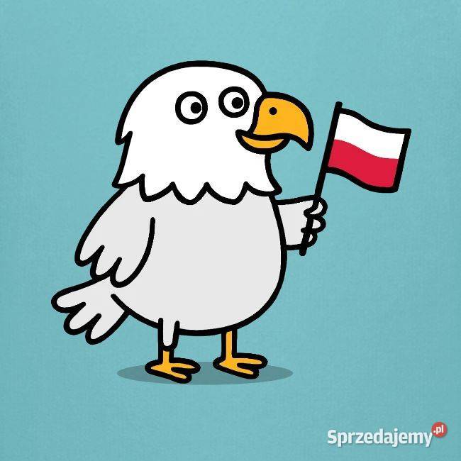 Bluza młodzieżowa patriotyczna Polska orzełek z Odzież małopolskie Kraków