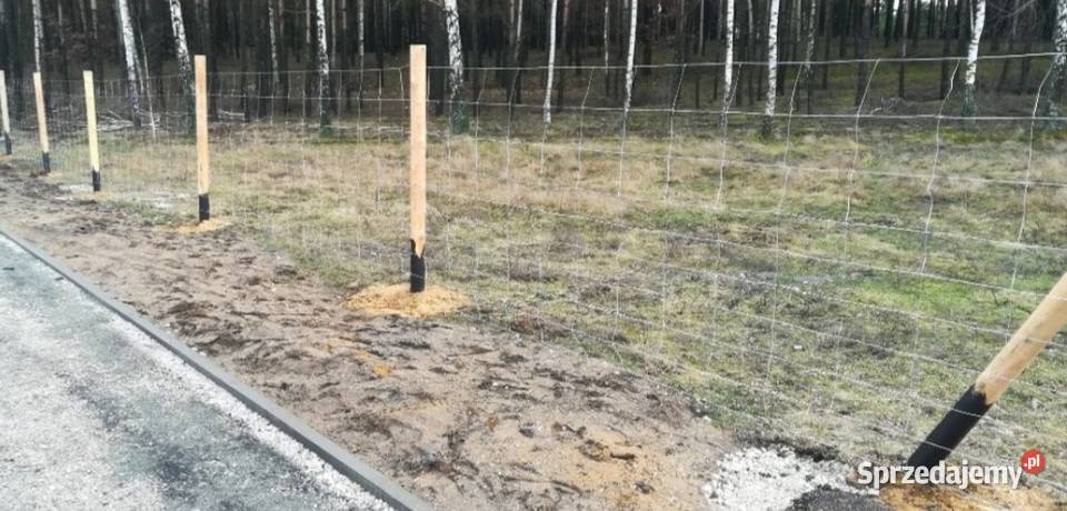 Ogrodzenia Panelowe siatkowe leśne betonowe itd usługi budowlane