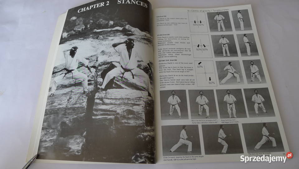 Cook Power Karate t III 1985 Oyama ArneilFitkin mazowieckie Radom