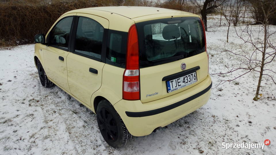 Fiat Panda 12 66 2011 BGAZ Panda Jędrzejów
