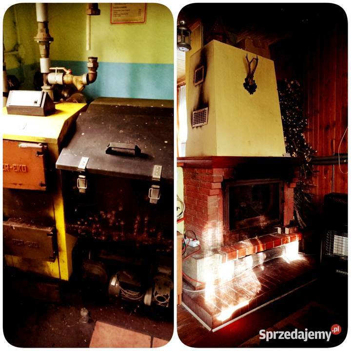 Posesja na wsi pod lasem DWA DOMY CAŁOROCZNE Sprzedaż Chynów