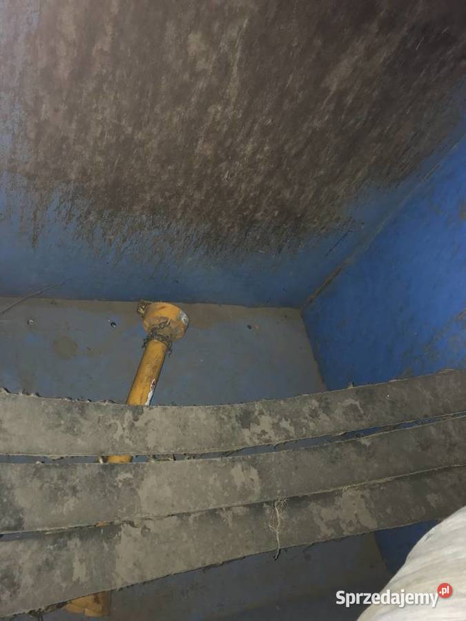 Kombajn ziemniaczany BOLKO 1995r I właściciel Łowicz