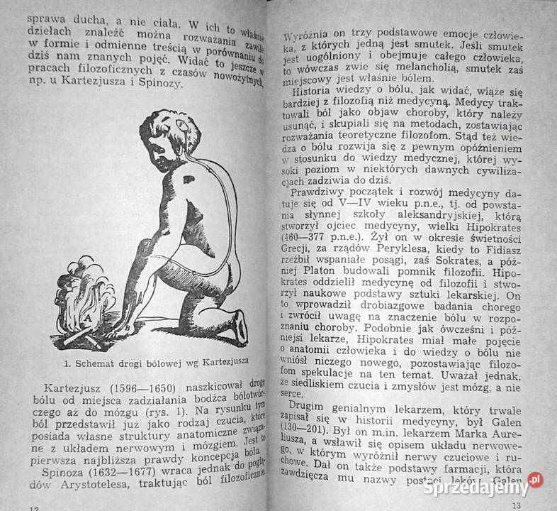 Ból Teofan Maria Domżał Chełm