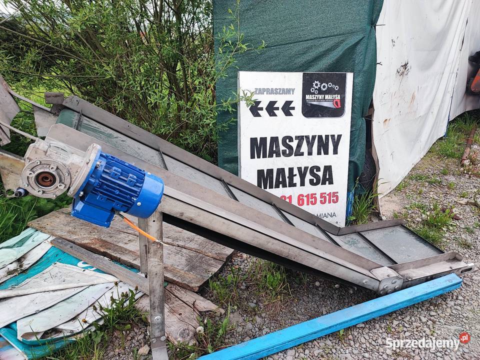 Podajnik taśmowy łamany taśmociąg do zrębki Produkcja Maków Podhalański