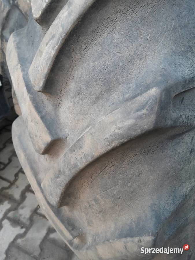 Opona 184 r34 Bieruń