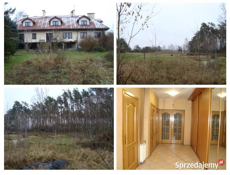 Syndyk sprzeda działkę z budynkiem Krępa sprzedam