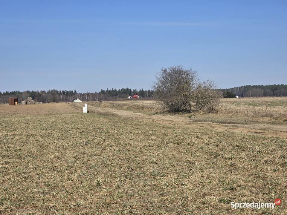 Budowlana Jezioro Dąbrowa Nieruchomości Dąbrówno sprzedam