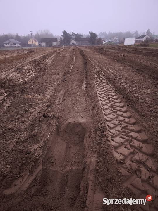 Karczowanie likwidacja korzeni plantacji aronii Siedlce
