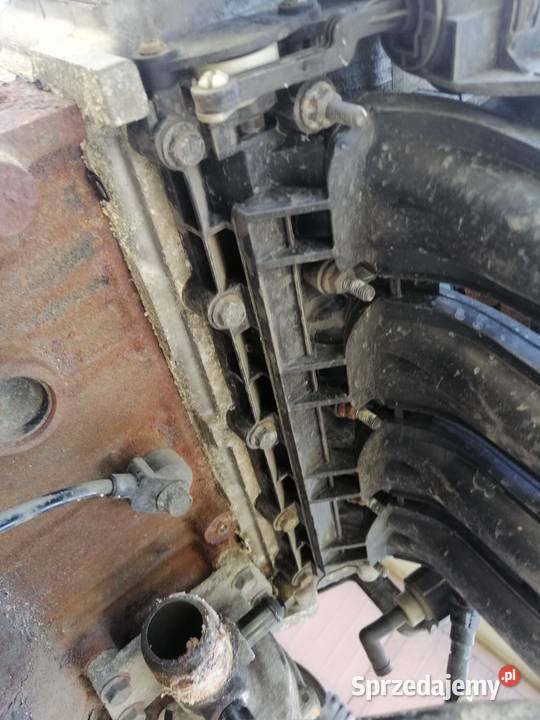 Chevrolet Aveo T250 T255 12 16V 84 STEC II sprzedam