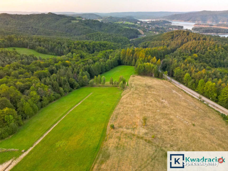 Działkę sprzedam 4633m2 Rybne Sprzedaż