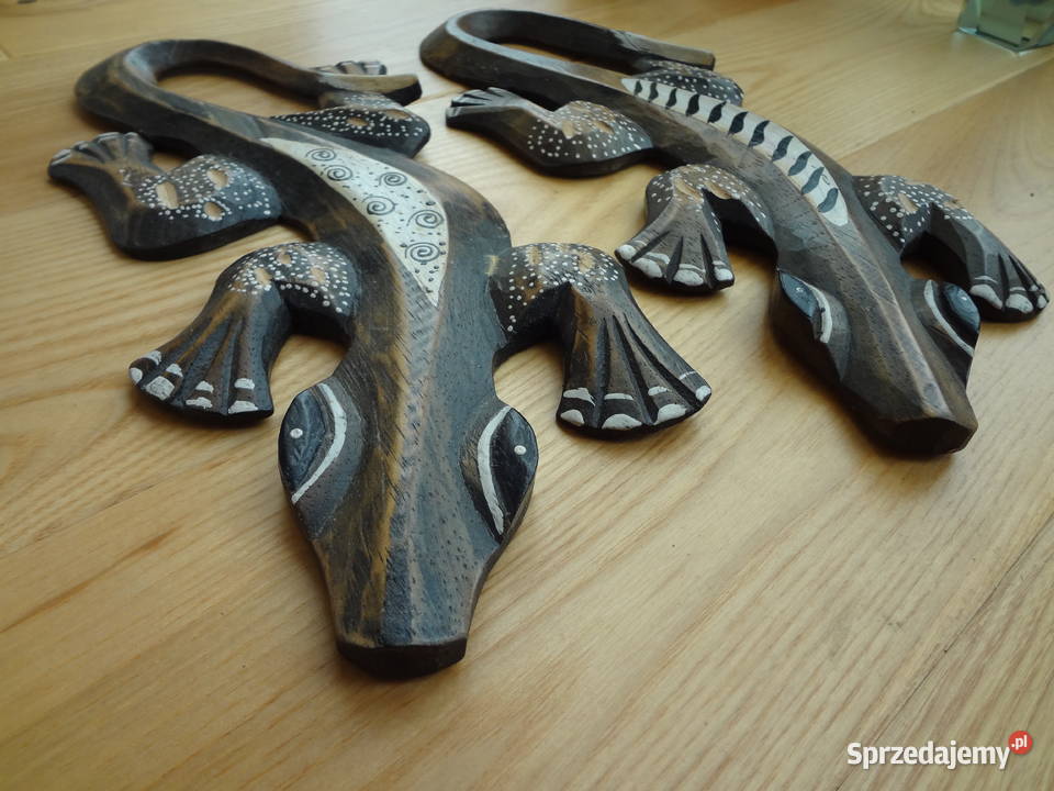 salamandry jaszczurki Wrocław