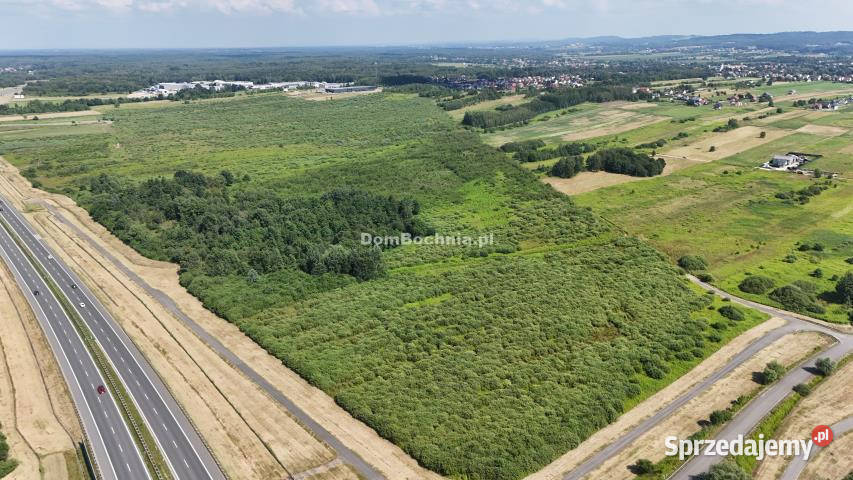 Działka Rzezawa 2494m2 Sprzedaż