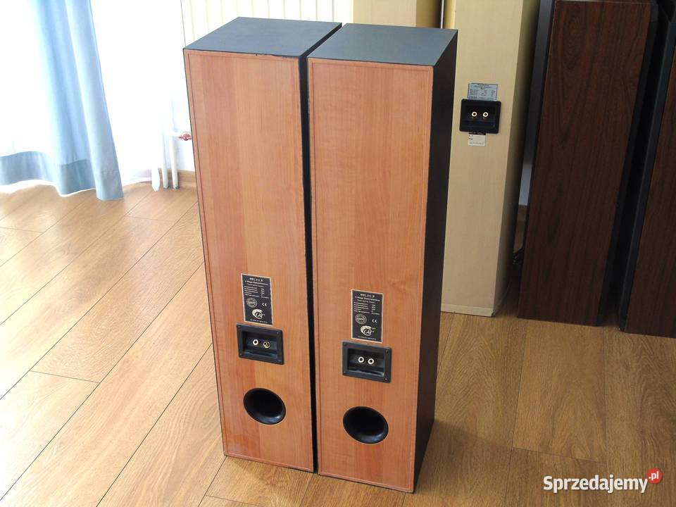 Kolumny Cat 2 x 380 wat łsprawne i ładne DOSTAWA Jasło