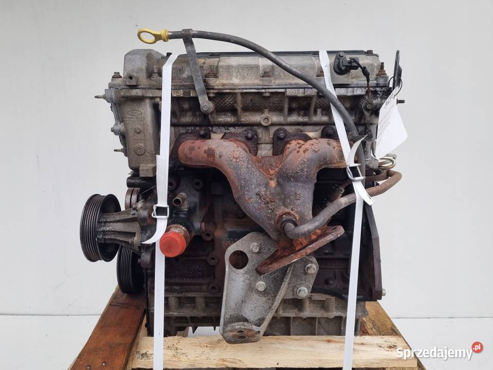 SILNIK Ford Transit VI MK6 23 16V 146 0006r osobowe Rudka sprzedam