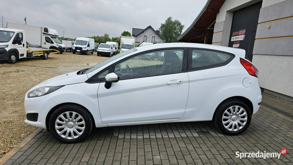 Ford Fiesta Ford Fiesta 13 pb ładna Mk7 2008 Rok produkcji 2017 Chełm Śląski