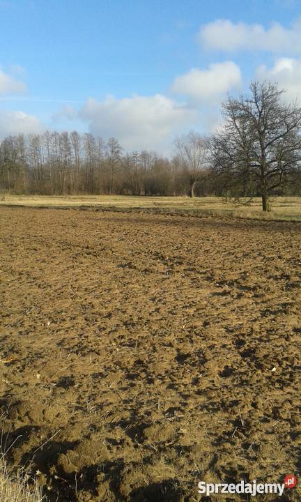 spokojne miejsce woda Arciechówek