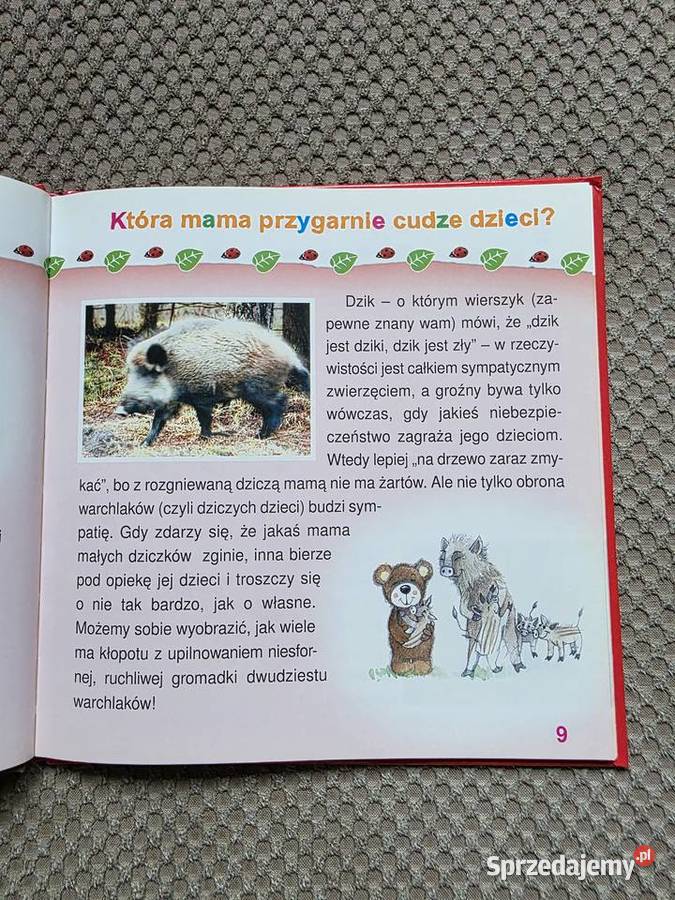seria Zapytaj Misia o ZWIERZĘTA ISBN 9788376120300