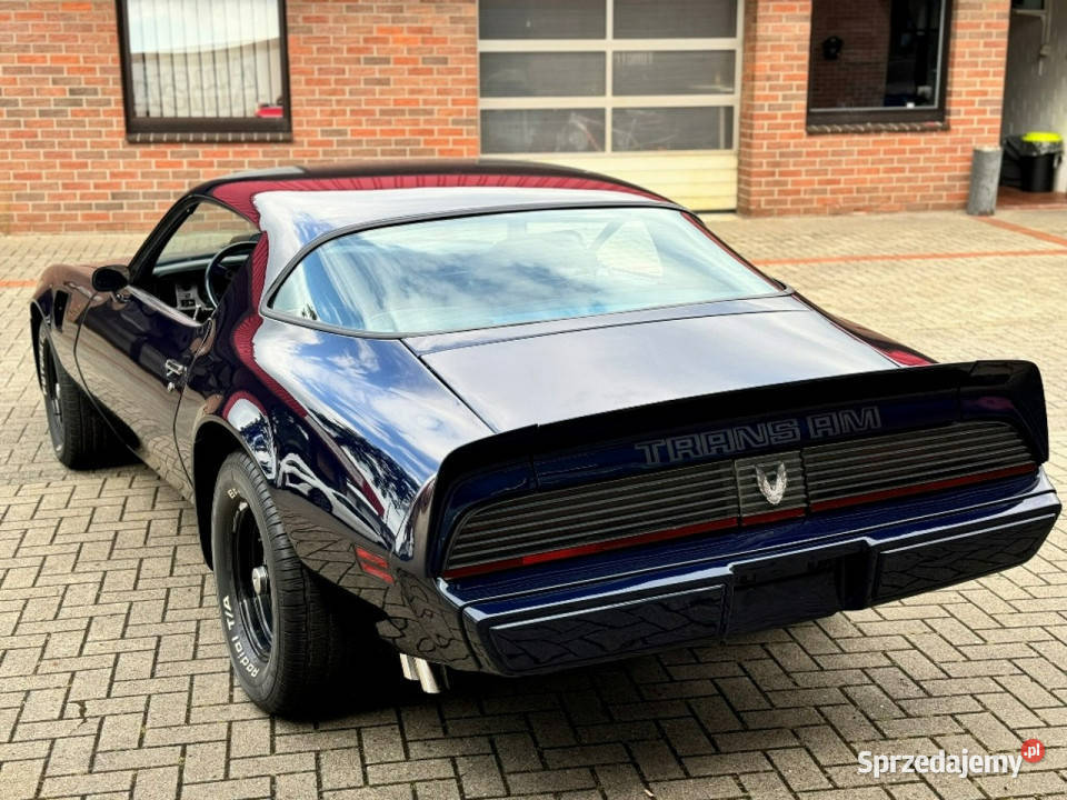 Pontiac Firebird Trans Am MIDNIGHT BLUE 1981 do Pontiac lubuskie Sulechów