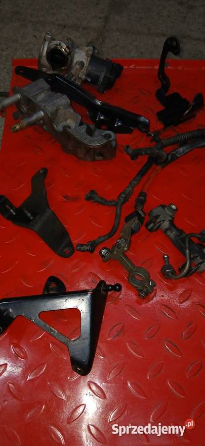 Silnik i części 16 HDI volvo Chmielów