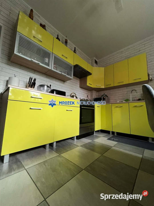 Kamienicę sprzedam 926m2 Zebrzydowice 850m2