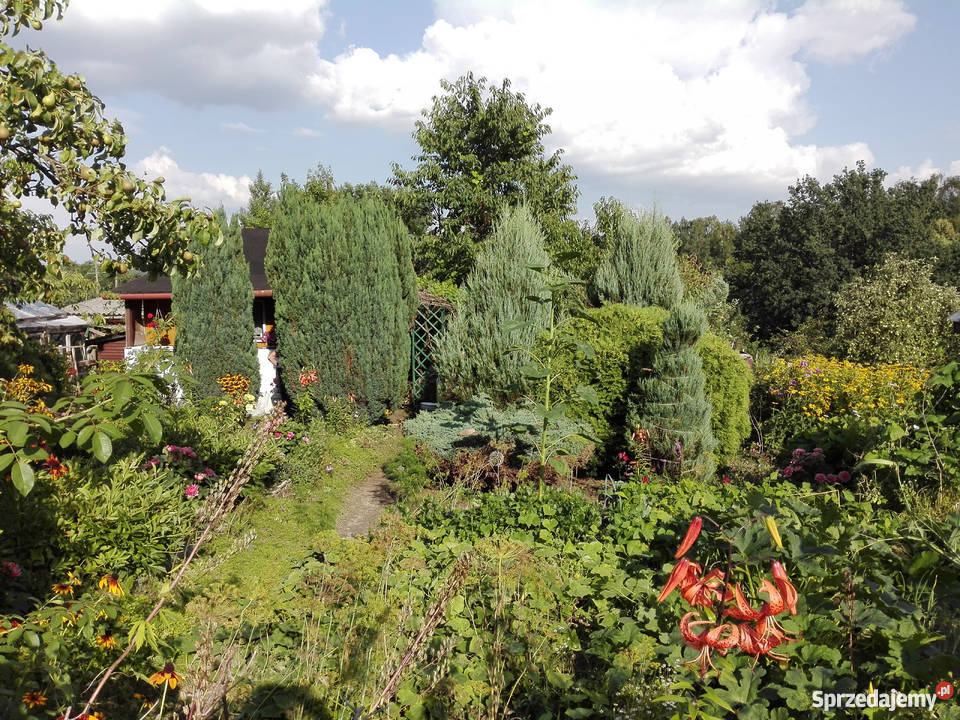 Działka relreacyjna Grunty i działki