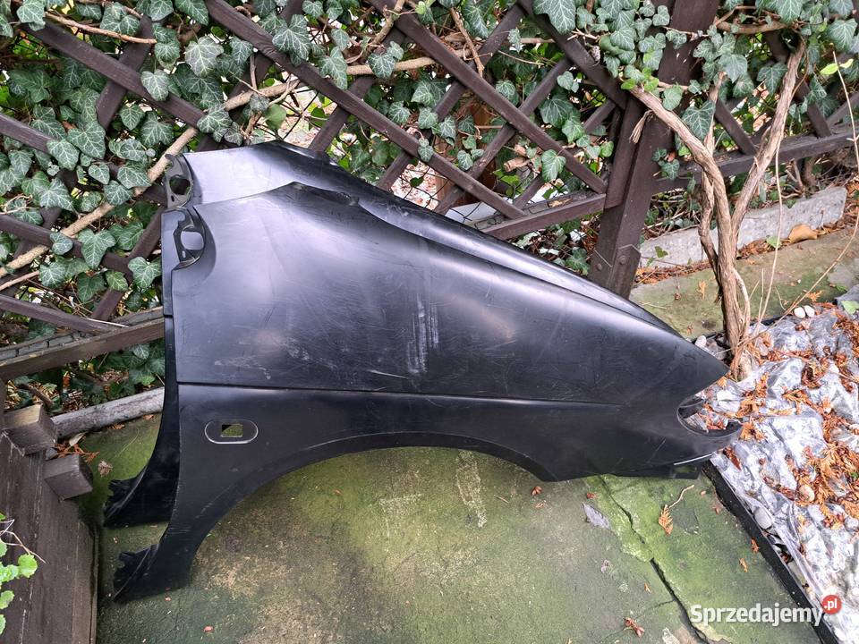 Renaul 9699r błotnik prawy przedni 7700844960 Leszno