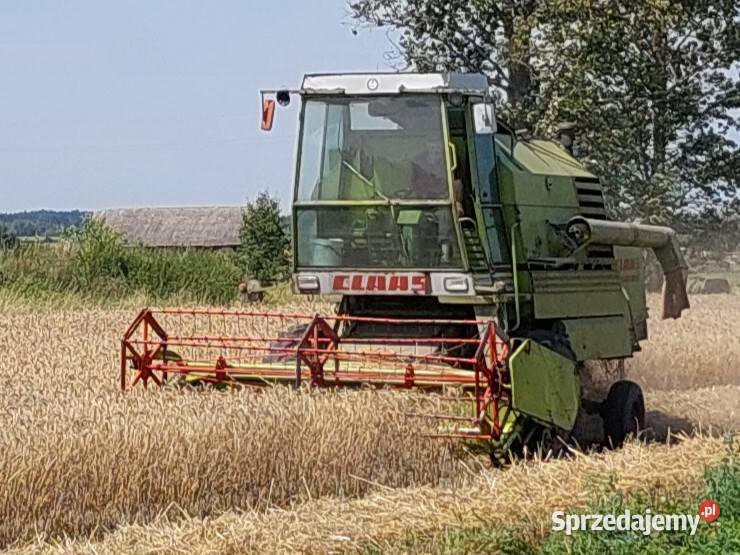 kombajn claas Boćki