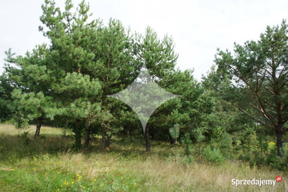 działka pod turystykę jeziorem Makosieje