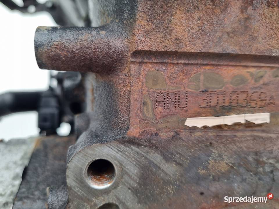 SILNIK SILNIK Seat Alhambra 0010r 19 TDI 90 pali Rudka