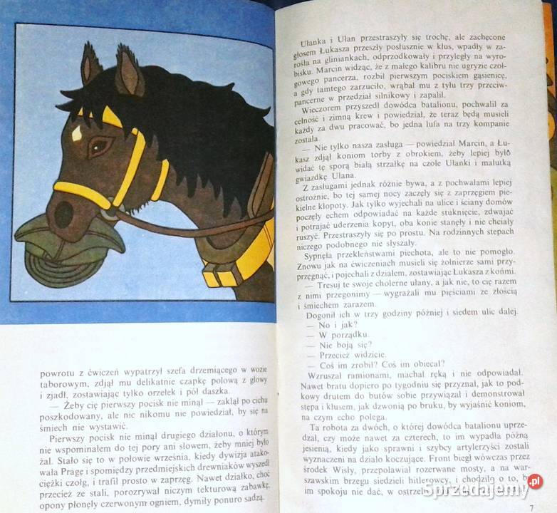 Bajki cześć 1239 Janusz Przymanowski Chełm