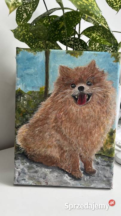 Obrazek olejny na płótnie 18x24 Piesek Świebodzin