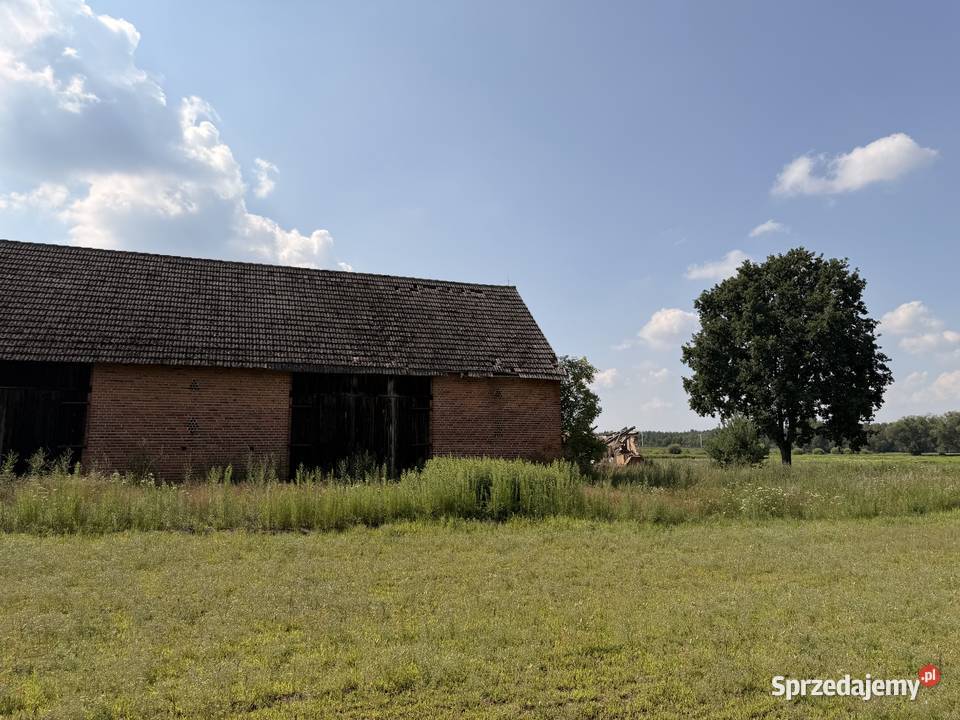 Siedlisko 517 ha z ceglaną stodołą Pawłów gm