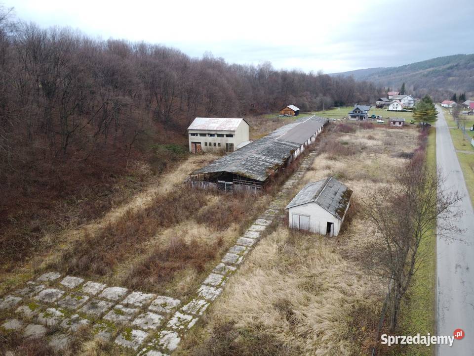 Nieruchomość komercyjna położona w zasięgu DK 28 Hołuczków