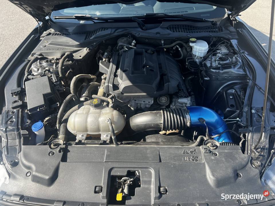 Ford mustang 23 eco boost kurtyny powietrzne Motoryzacja Leżajsk sprzedam