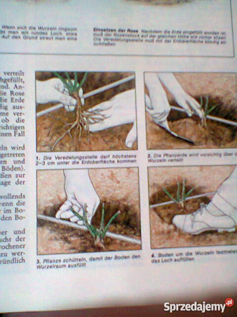 Mehr Freude am Garten Szczecin