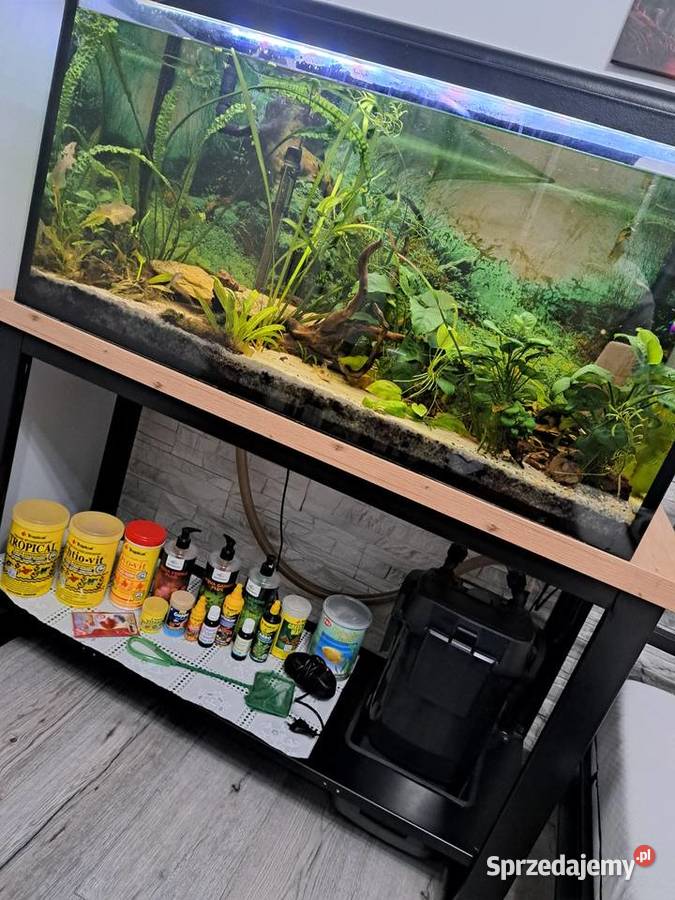 Akwarium 200l szczelne z wyposażeniem
