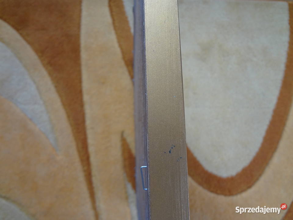 obraz w złotej drewnianej ramie