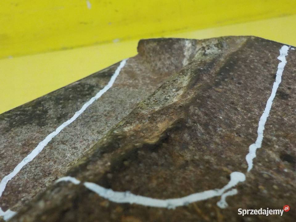 OPEL SENATOR 25 B 90r 140 25NE 8793 oslona świętokrzyskie