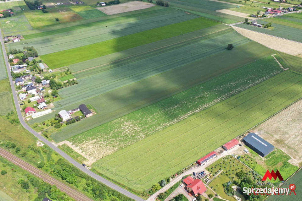 Sprzedaż działki 23519m2 Kowal Grunty i działki sprzedam
