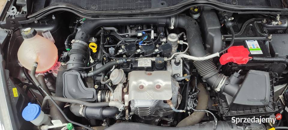 Ford fiesta automat tablet wielkopolskie Piła