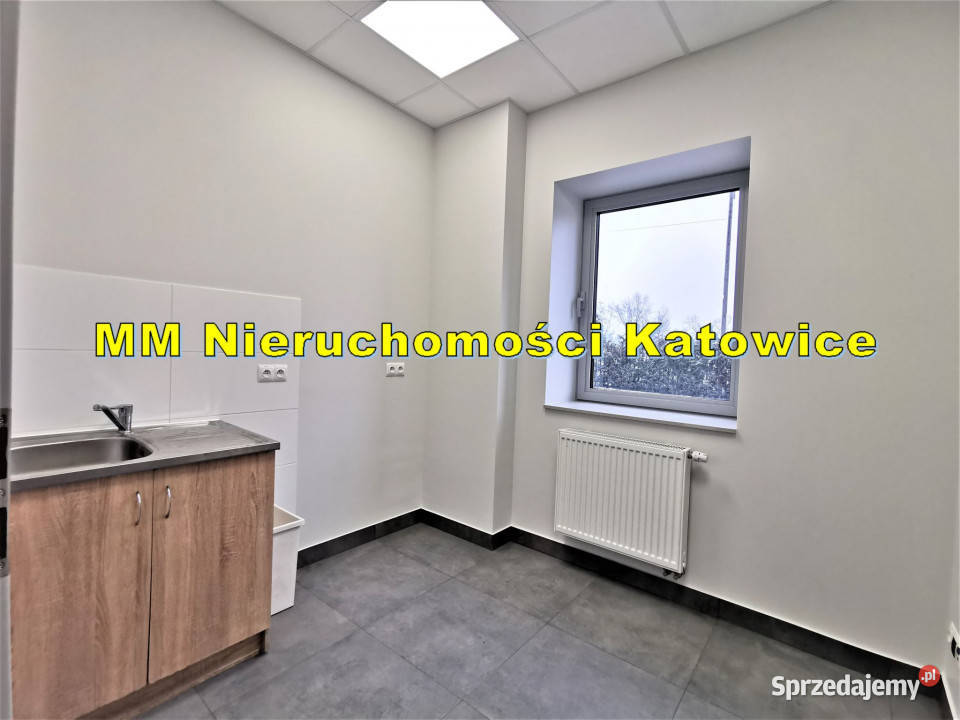 Wynajem lokalu Katowice 745m2 745m2