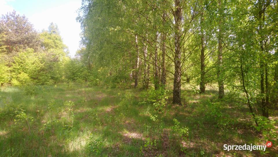 Działka 4828m2 Wkrą pozw na budowę ogrodzenie utwardzona Sprzedaż