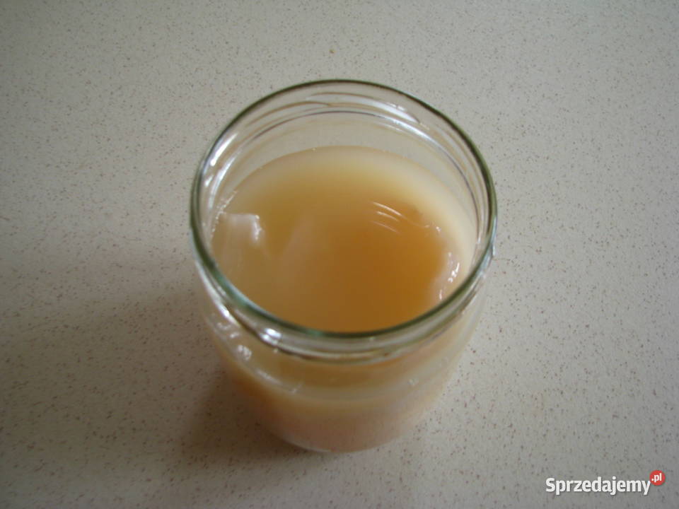 Żywa matka octowa ocet niepasteryzowany Brzegi sprzedam