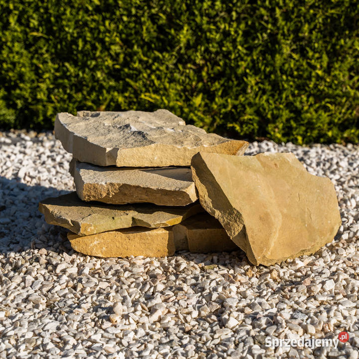 Kamień ogrodowy dzikówka kremowożółta Micigózd