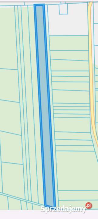 Las 118ha gmina Zbuczyn Siedlce