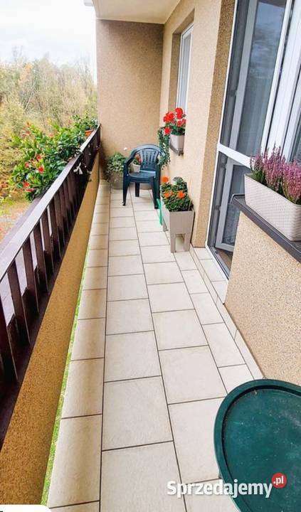 M4 II p Pogwizdów 60m2 śląskie