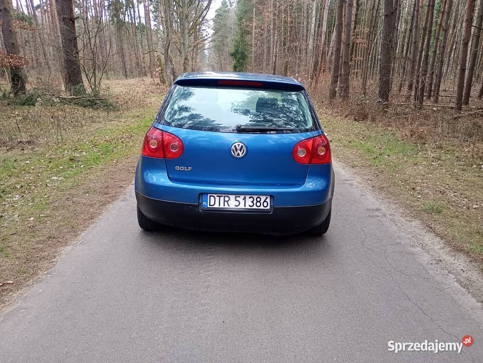 volkswagen golf V 20 SDI klima tempomat długie Golf dolnośląskie