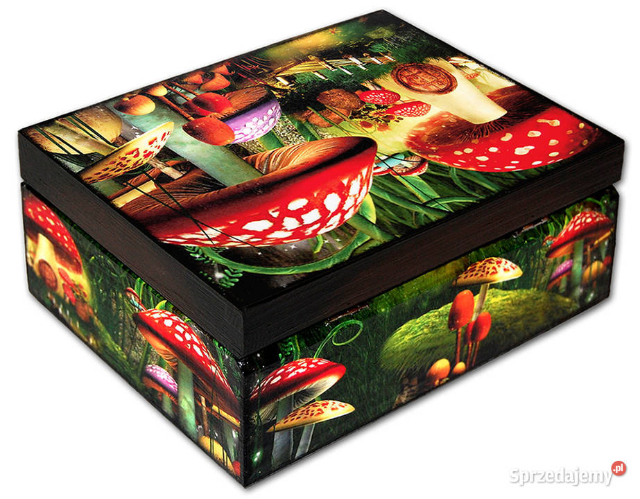 Drewniana SZKATUŁKA pudełko ozdobne MUCHOMORKI Bydgoszcz