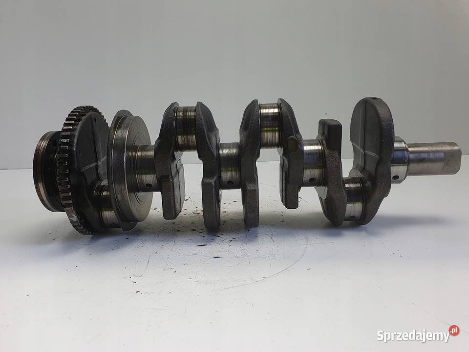 Renault Trafic II 20 DCI WAŁ KORBOWY 8200385152 Blok silnika Rudka